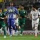 Goleiro Carlos Miguel, do Palmeiras, em ação no clássico Santos x Palmeiras na Vila Belmiro